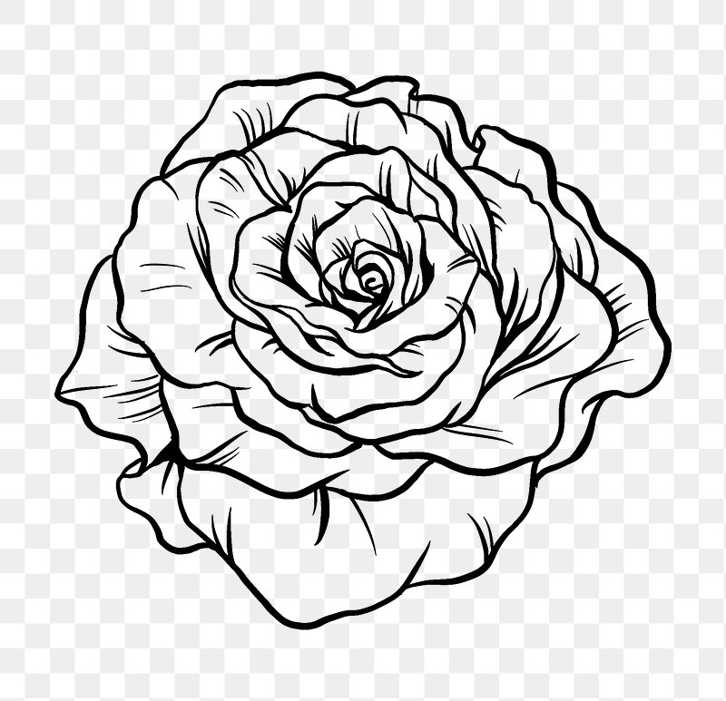 Black and White Flower Clip Art Image - ClipSafari