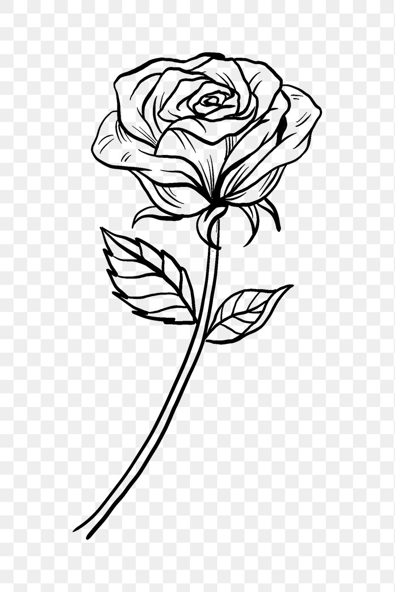 How To Draw A Simple Tattoo Flash Style Rose - YouTube