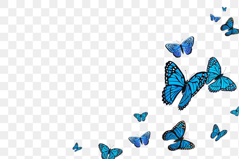 Butterfly PNG Images  Free PNG Vector Graphics, Effects & Backgrounds -  rawpixel