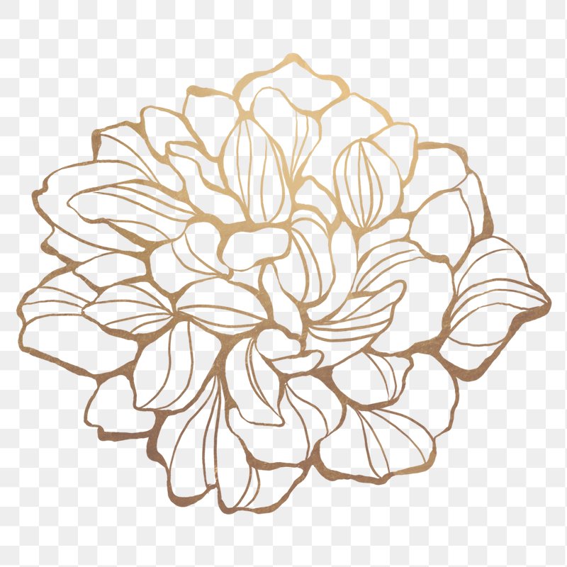 Gold Flower PNG Images  Free PNG Vector Graphics, Effects & Backgrounds -  rawpixel