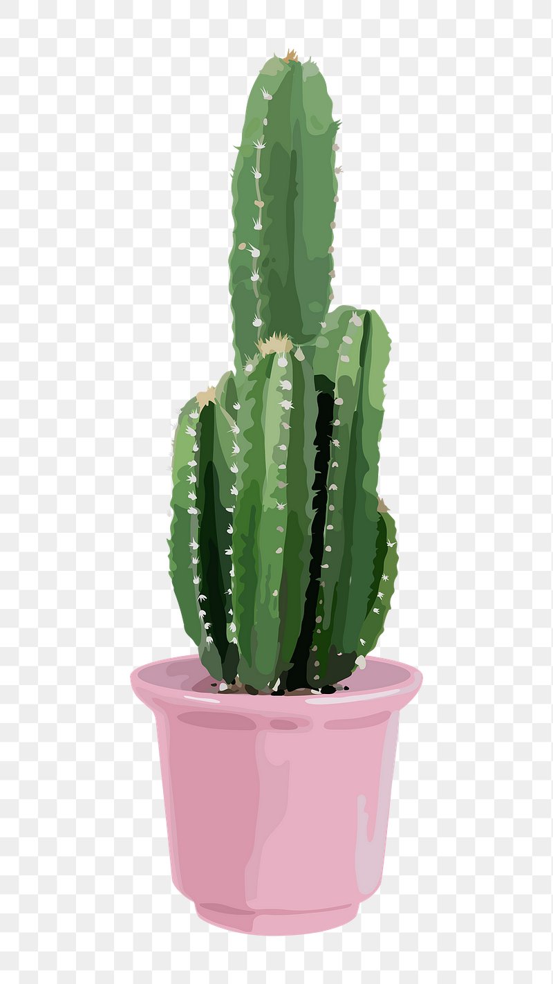 Cactus Transparent PNG Clip Art Image​