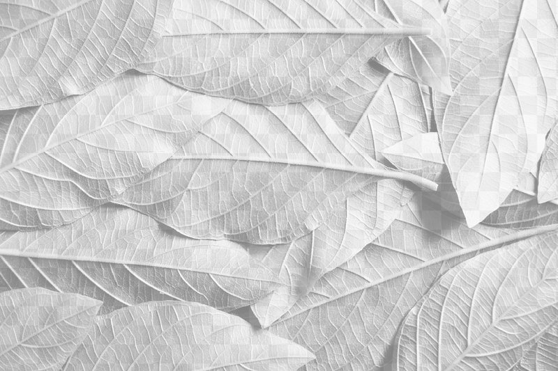 Leaf Texture Images | Free Vector, PNG & PSD Background & Texture Photos -  rawpixel