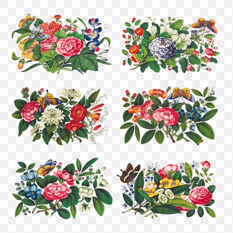 Flower bouquet set png