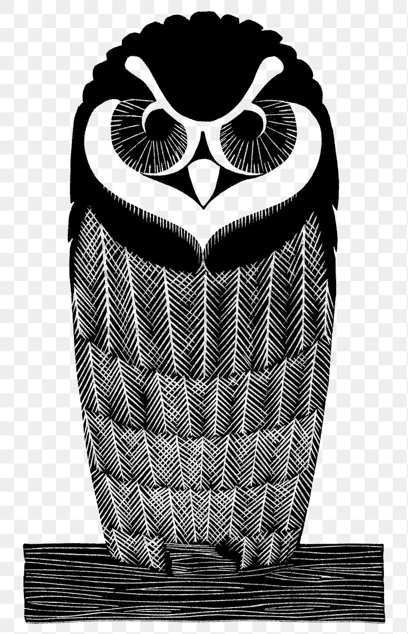 black and white drawings of owls
