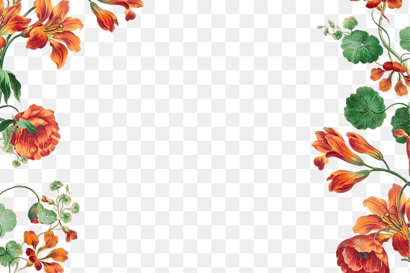 Orange Flowers Images | Free HD Backgrounds, PNGs, Vector Graphics,  Illustrations & Templates - rawpixel