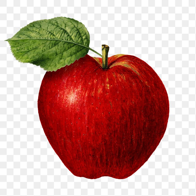 fresh apples sign clip art