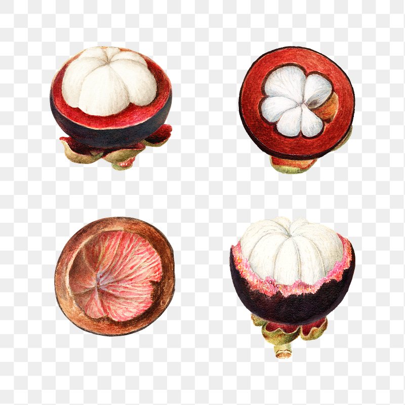 Mangosteen Images | Free Photos, PNG Stickers, Wallpapers & Backgrounds