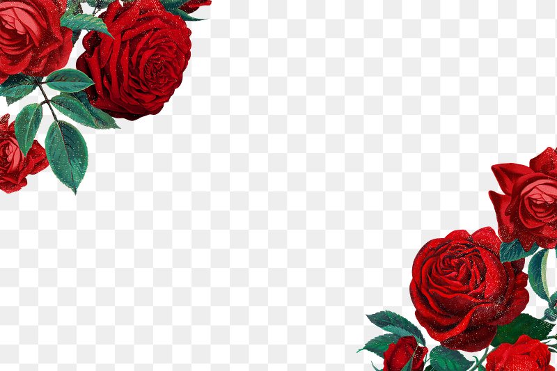rose flower design border png