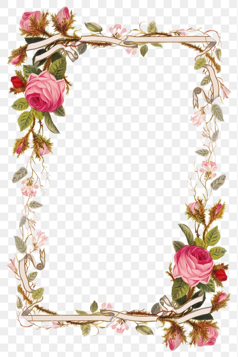 Floral Border Designs | Free Vector Graphics, Clip Art, Psd & Png Frames &  Background Images - Rawpixel