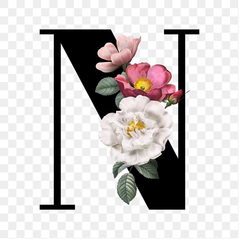 Floral letter N font | Free stock illustration | High Resolution graphic Classic and elegant floral alphabet font letter N transparent png