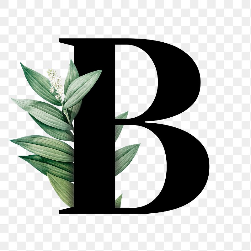 Botanical Font Letter B | Free Stock Illustration | High Resolution Graphic