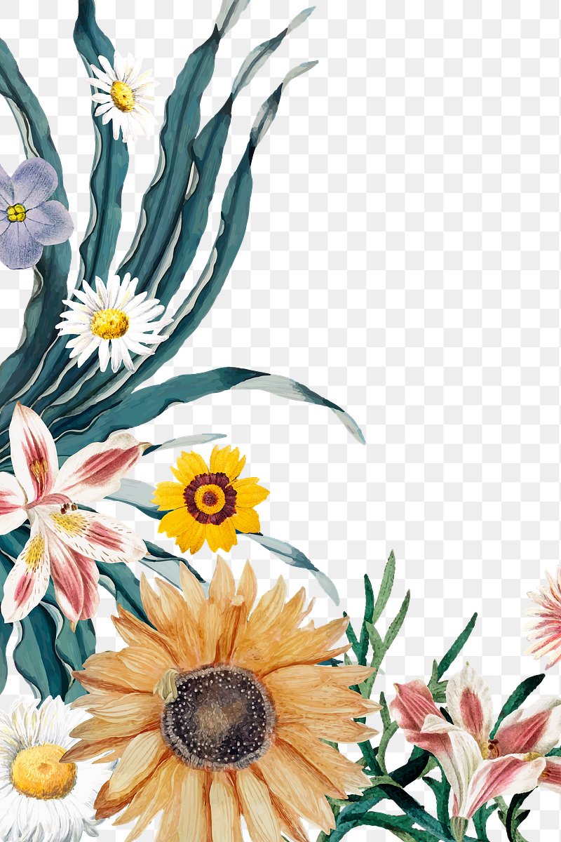 Floral Border Designs | Free Vector Graphics, Clip Art, PSD & PNG