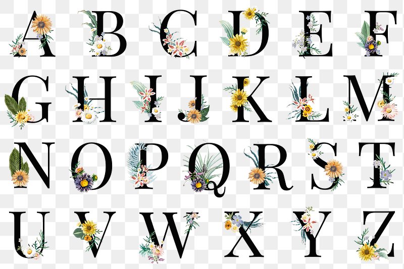 calligraphy fonts alphabet a z