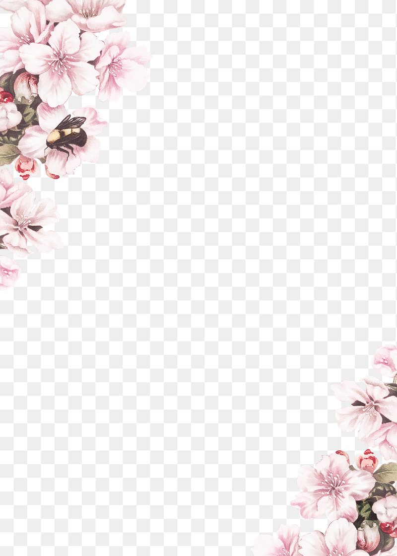 Floral Border Designs | Free Vector Graphics, Clip Art, PSD & PNG ...