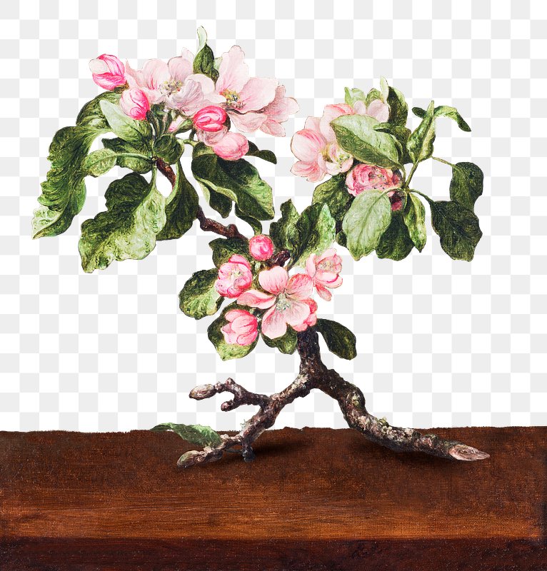 clipart of apple blossoms floral design