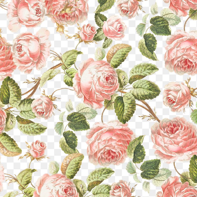 Rose Wallpaper | Free Beautiful HD iPhone, Samsung & Mobile Phone Images -  rawpixel