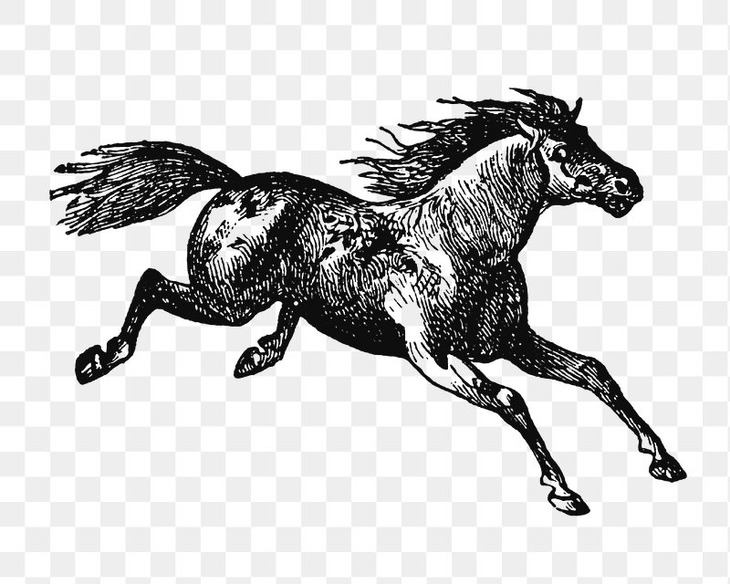 clipart of mustang horse