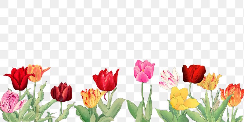 Flower PNG Images | Free PNG Vector Graphics, Effects & Backgrounds -  rawpixel