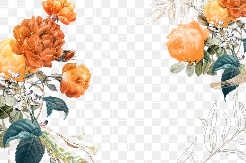 orange flower border
