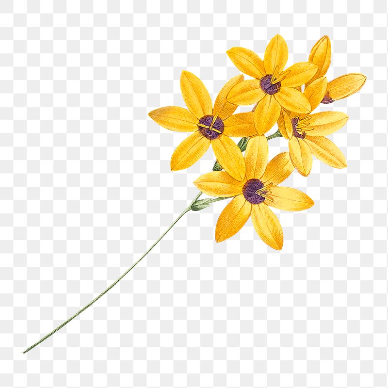 i7 4790k clipart of flowers