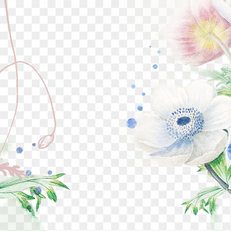 White Frame PNG Images | Free Photos, PNG Stickers, Wallpapers