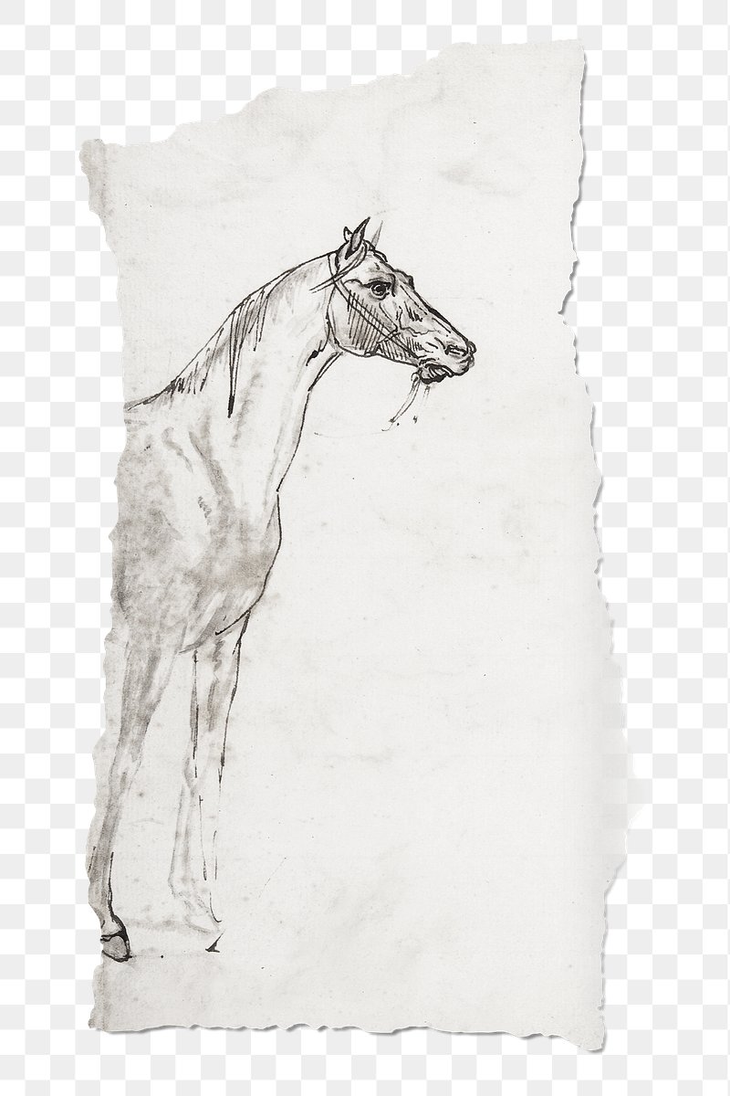 A Poster of a line art drawing of a horses face - A Horse With Long Hair by  HEBSTREIT