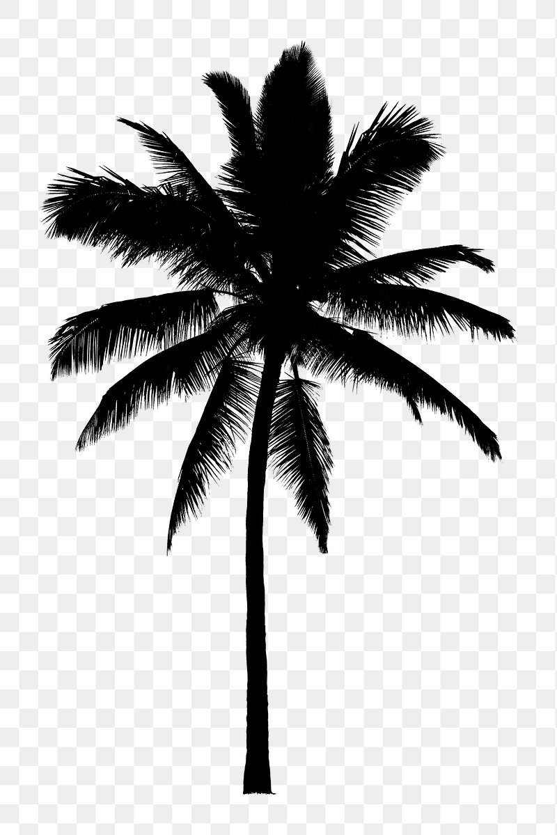 palm tree outline