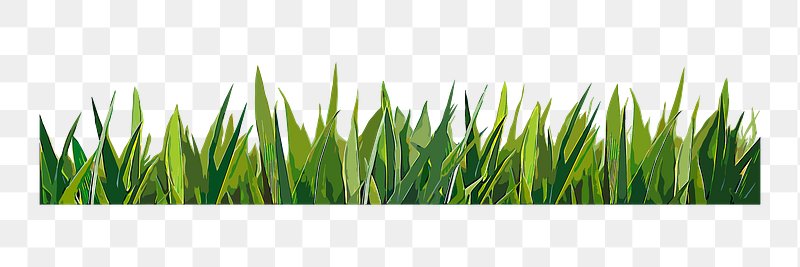 grass transparent png