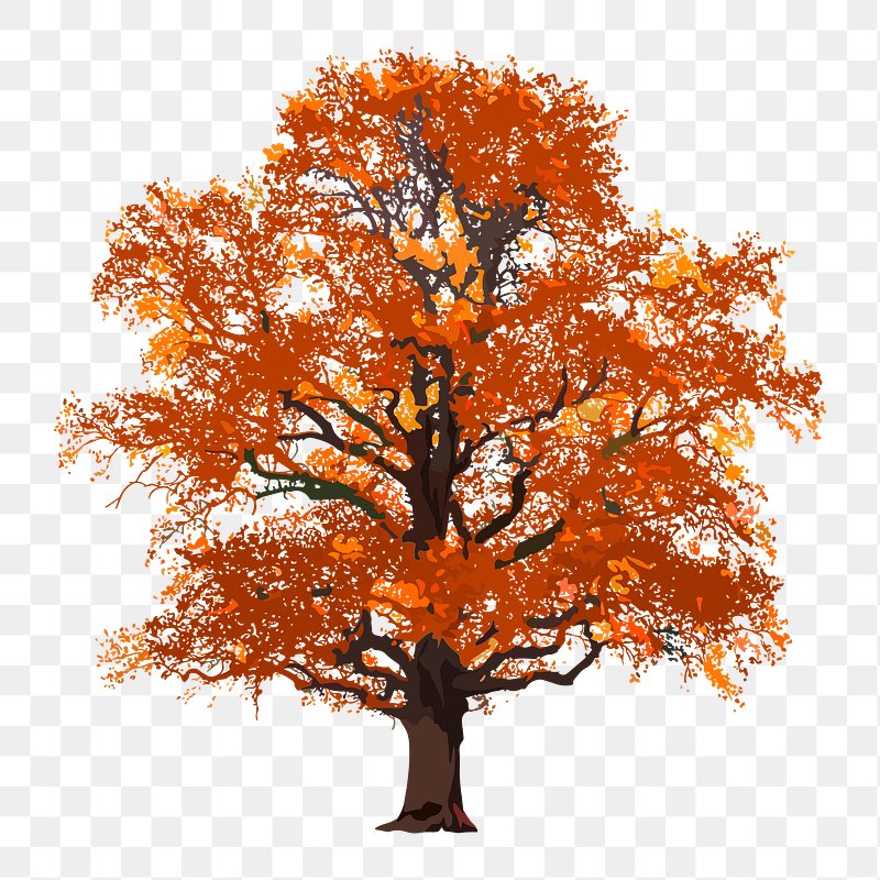 fall tree branch illustration