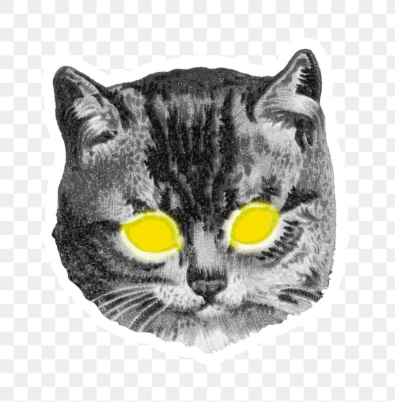 Cute cat story highlights icon for social media transparent png