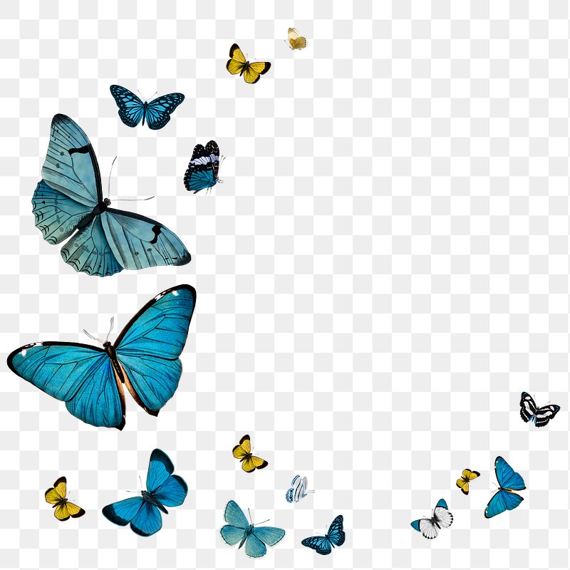 Butterfly Png Images Free Png Vector Graphics Effects Backgrounds Rawpixel