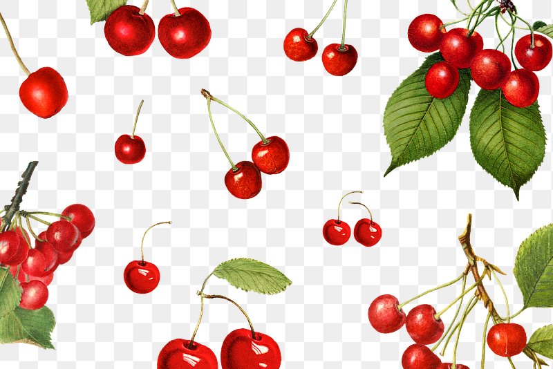 cherry background