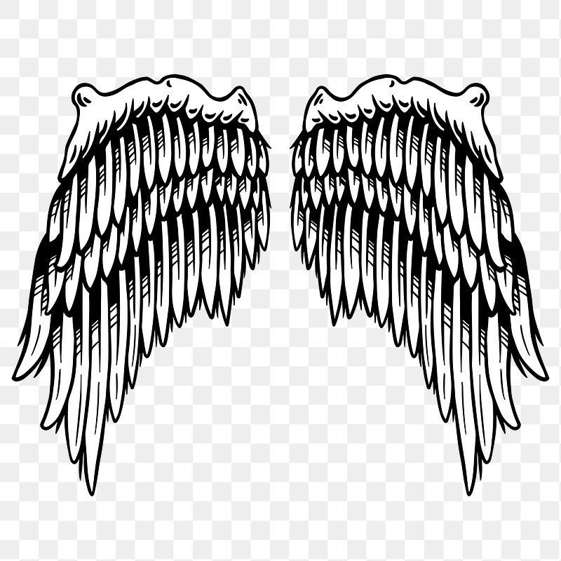 Angel Wings Images | Free Photos, PNG Stickers, Wallpapers ...