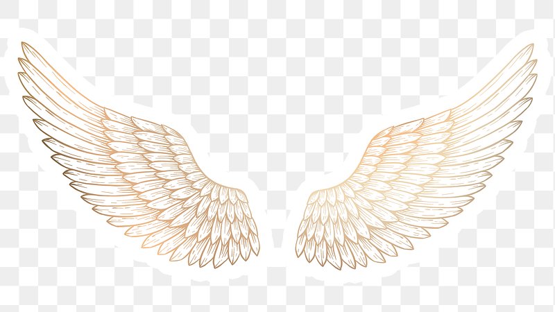 Wings PNG, Gold Wings, Angel Wings, Wings (2237351)