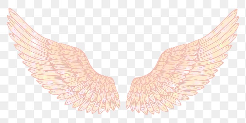 Angel Wings Images | Free Photos, PNG Stickers, Wallpapers ...