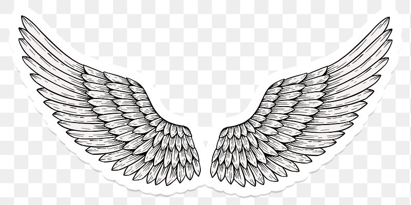 Angel Wings Images | Free Photos, PNG Stickers, Wallpapers ...