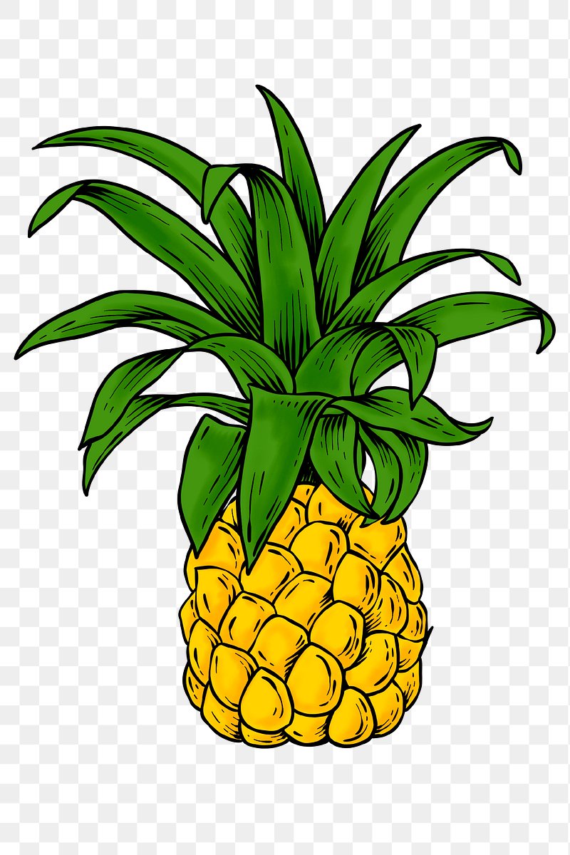 pineapple tree clipart