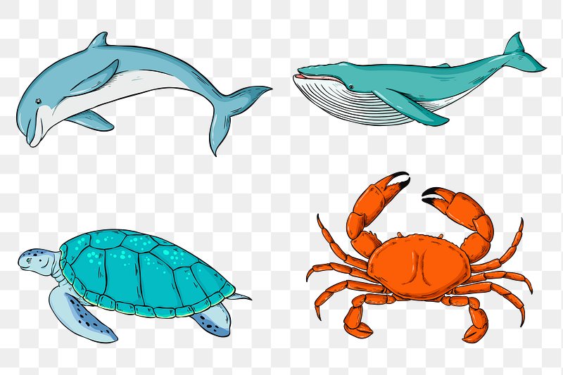 Sea Turtle Images | Free HD Backgrounds, PNGs, Vectors & Illustrations - rawpixel Sea Turtle Images | Free HD Backgrounds, PNGs, Vectors & Illustrations - rawpixel