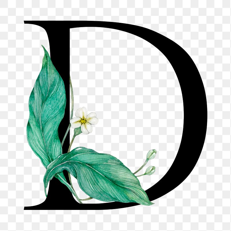 calligraphy letter d designs