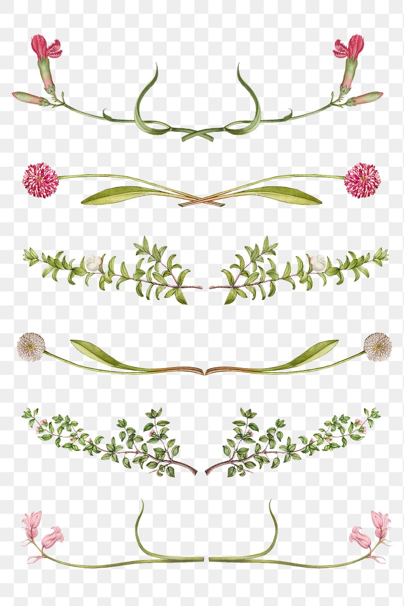 flower dividers clipart