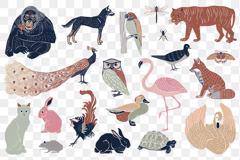 Animals Images | Free HD Backgrounds, PNGs, Vectors & Illustrations -  rawpixel