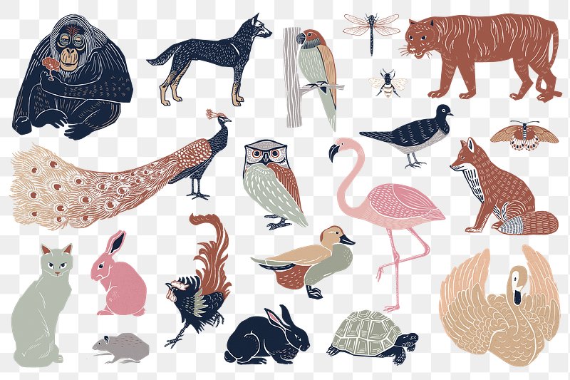 Animals Images | Free HD Backgrounds, PNGs, Vectors & Illustrations - rawpixel Animals Images | Free HD Backgrounds, PNGs, Vectors & Illustrations - rawpixel
