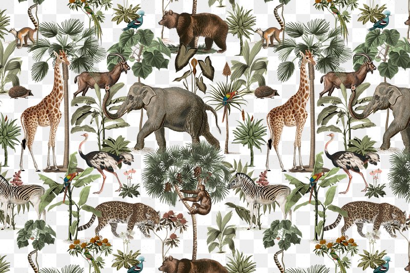 Cute Animal Jungle Wallpaper For Kids Room  Home Decoram