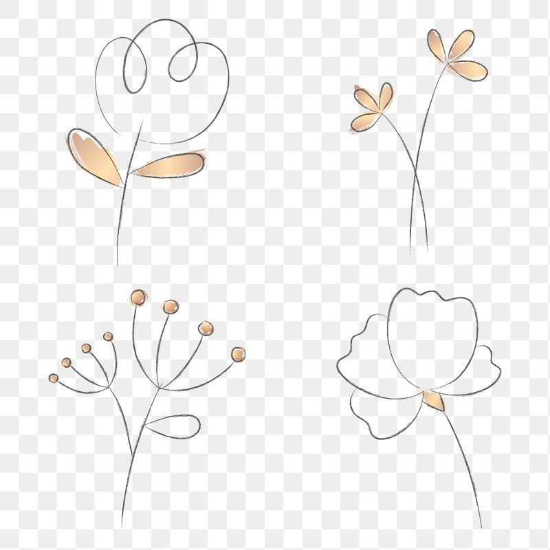 Minimalist Flower PNG Images | Free Vectors, PNGs, Mockups