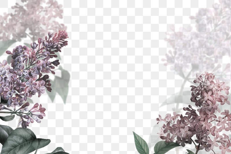 Lilac Frame Transparent Background Images | Free Photos, PNG Stickers ...