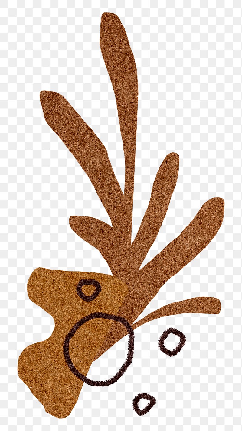 Abstract Leaf Cutout Images | Free Photos, PNG Stickers, Wallpapers