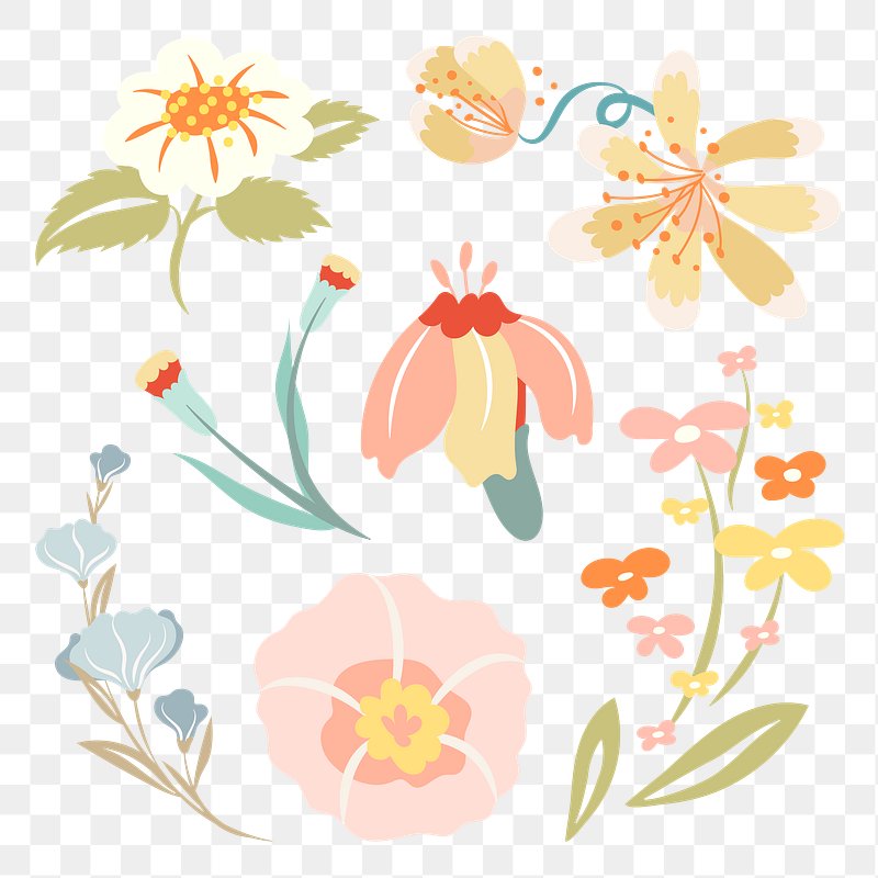 duplicity clipart flower