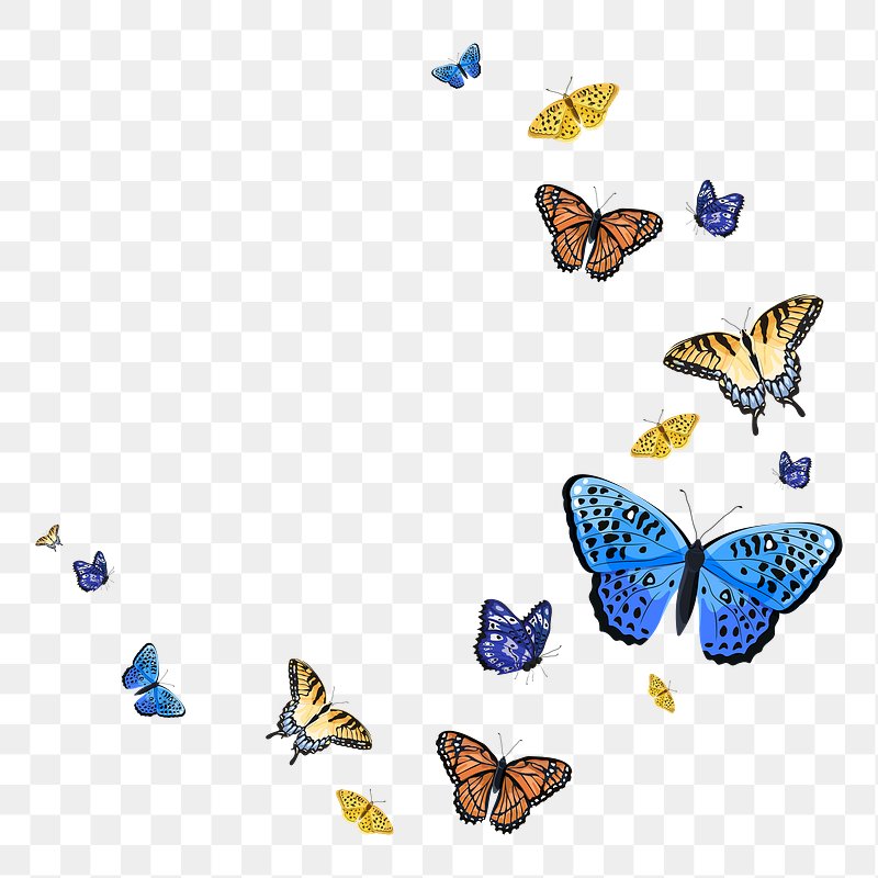 Butterfly PNG Images | Free PNG Vector Graphics, Effects & Backgrounds -  rawpixel