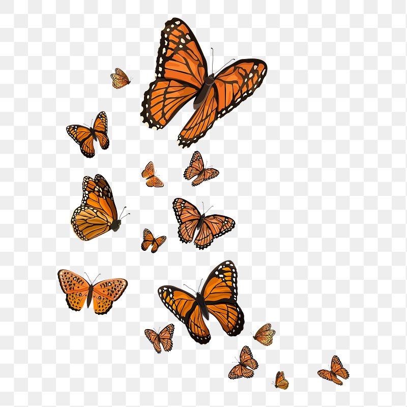 Bạn đang tìm kiếm một hình ảnh bướm PNG miễn phí với hiệu ứng đồ họa vector? Không có gì tuyệt vời hơn khi tìm thấy hình ảnh này. Tải về ngay và sử dụng để tạo ra những thiết kế độc đáo và tuyệt đẹp.