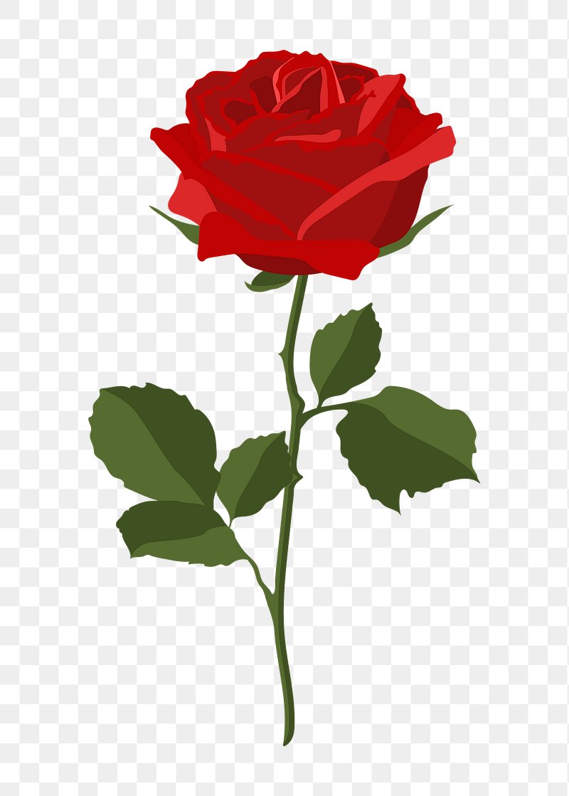 Hình ảnh hoa hồng: Không gì đẹp hơn một bông hoa hồng tươi thắm trong nắm tay của bạn. Hãy chiêm ngưỡng những hình ảnh hoa hồng đẹp lung linh và cảm nhận được sự thanh tao, tinh khiết của loài hoa tượng trưng cho tình yêu và sự trường tồn.